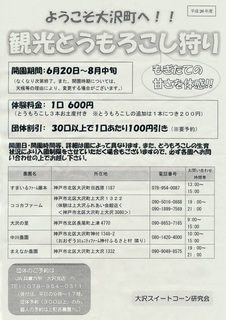 観光とうもろこし狩り2014.jpg