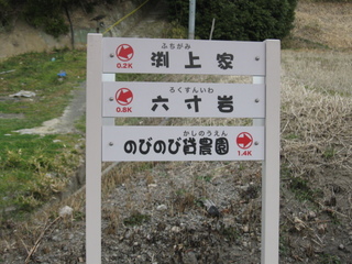 IMG_0950.JPG