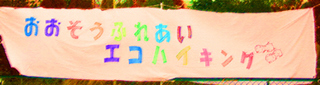 ozoecohi201011.jpg